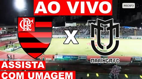 flamengo sexo|sexo flamenguista Search